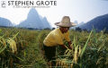 Farmer in Rice Field