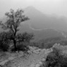 China B&W