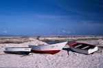 Boats 1
