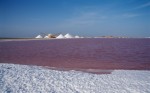 Salt Flat and Salt Pillars 2