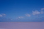 Salt 1