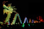 Wuhan Festival Dragon