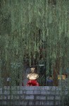 Mao Statue