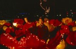 Wuhan Festival